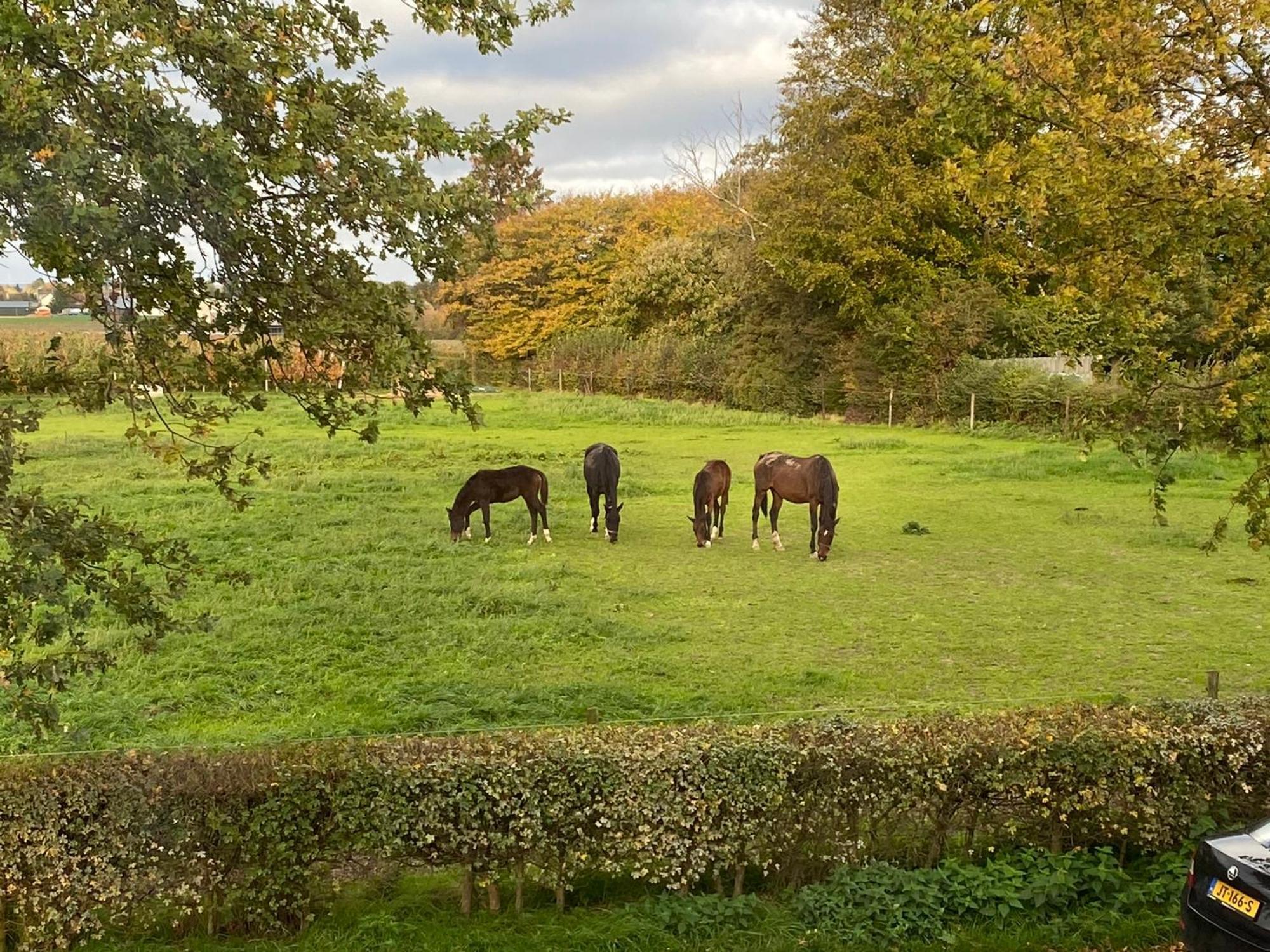 Vida Verde Valkenburg aan de Geul Esterno foto