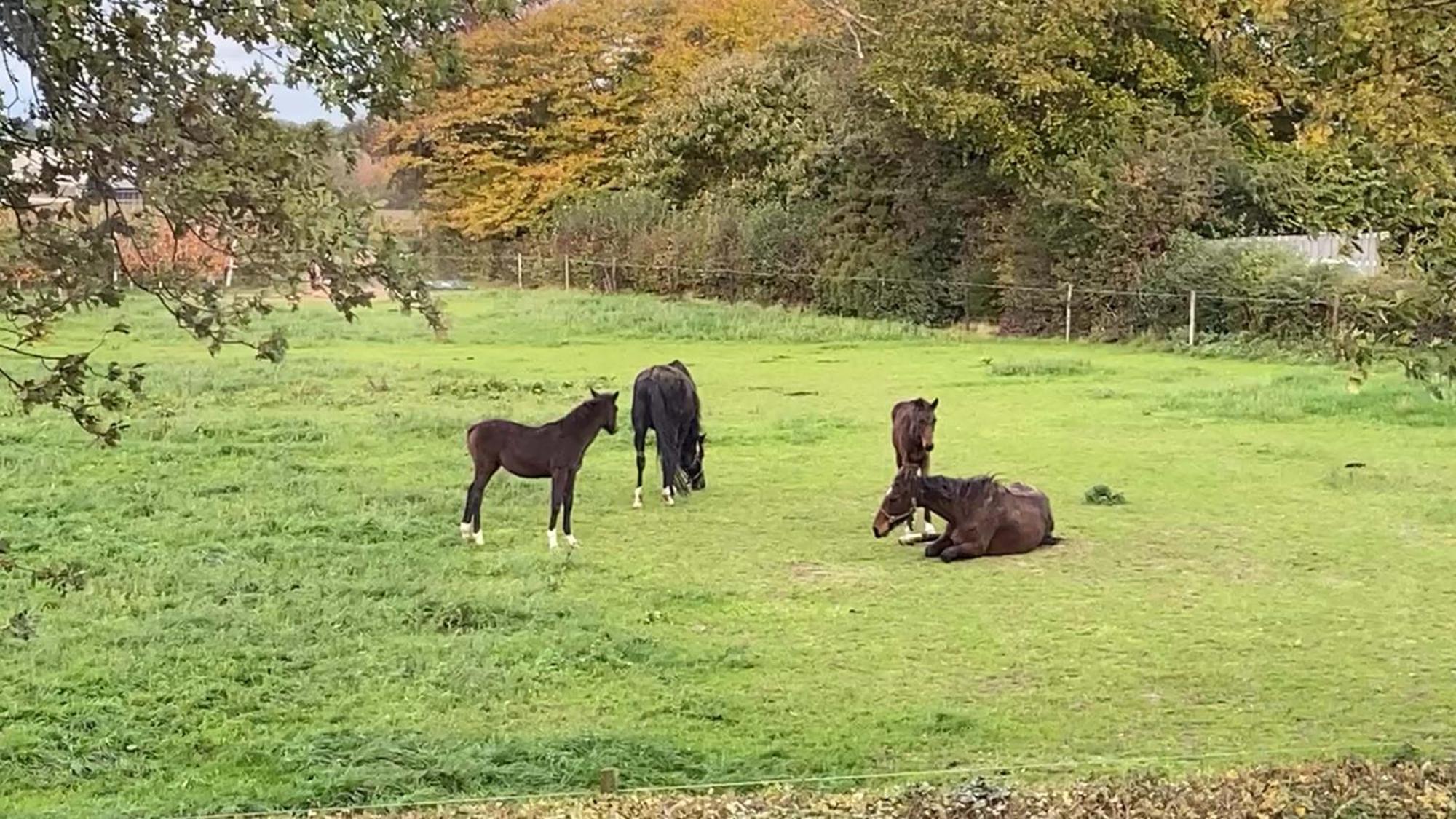 Vida Verde Valkenburg aan de Geul Esterno foto