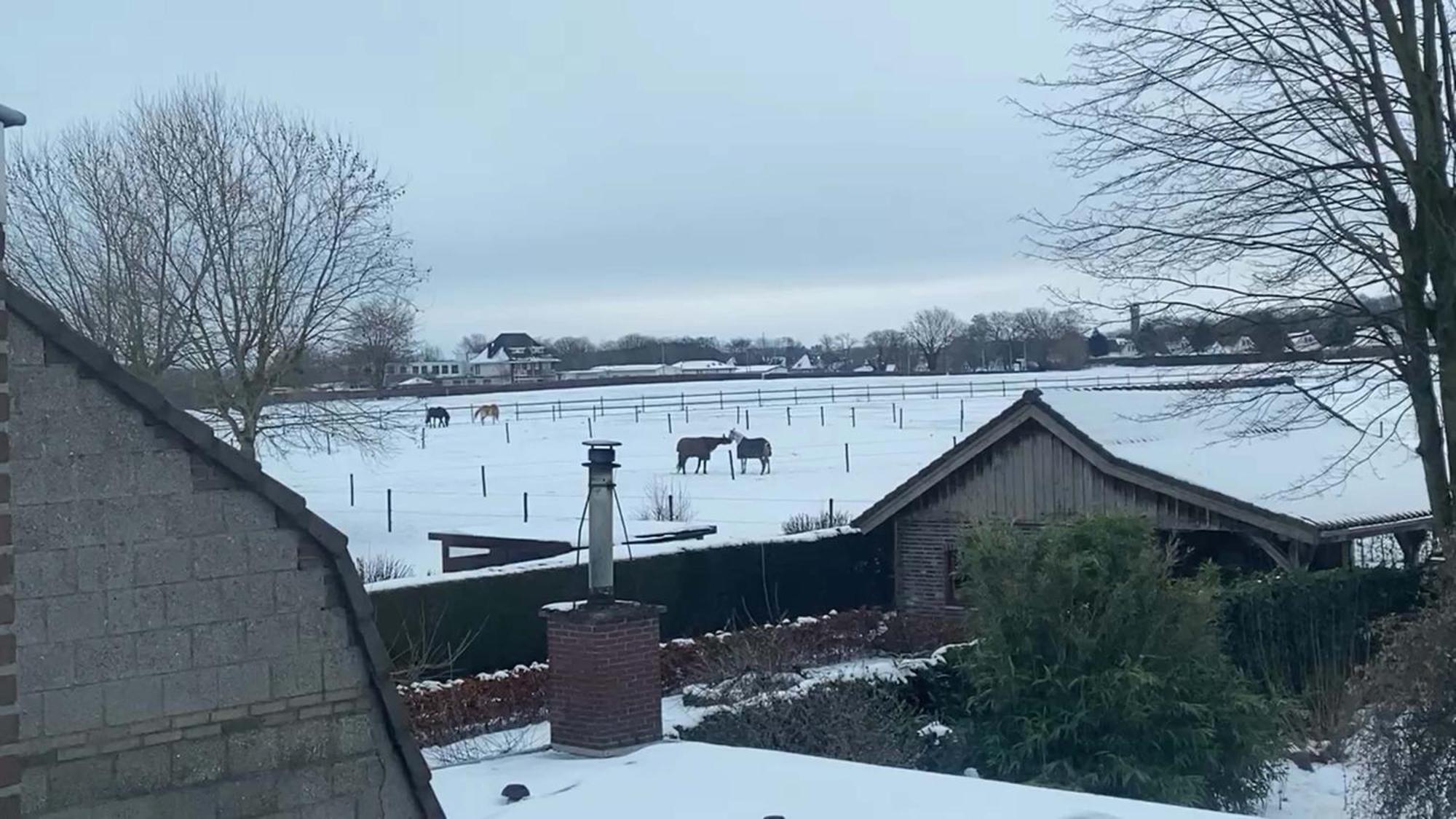 Vida Verde Valkenburg aan de Geul Esterno foto