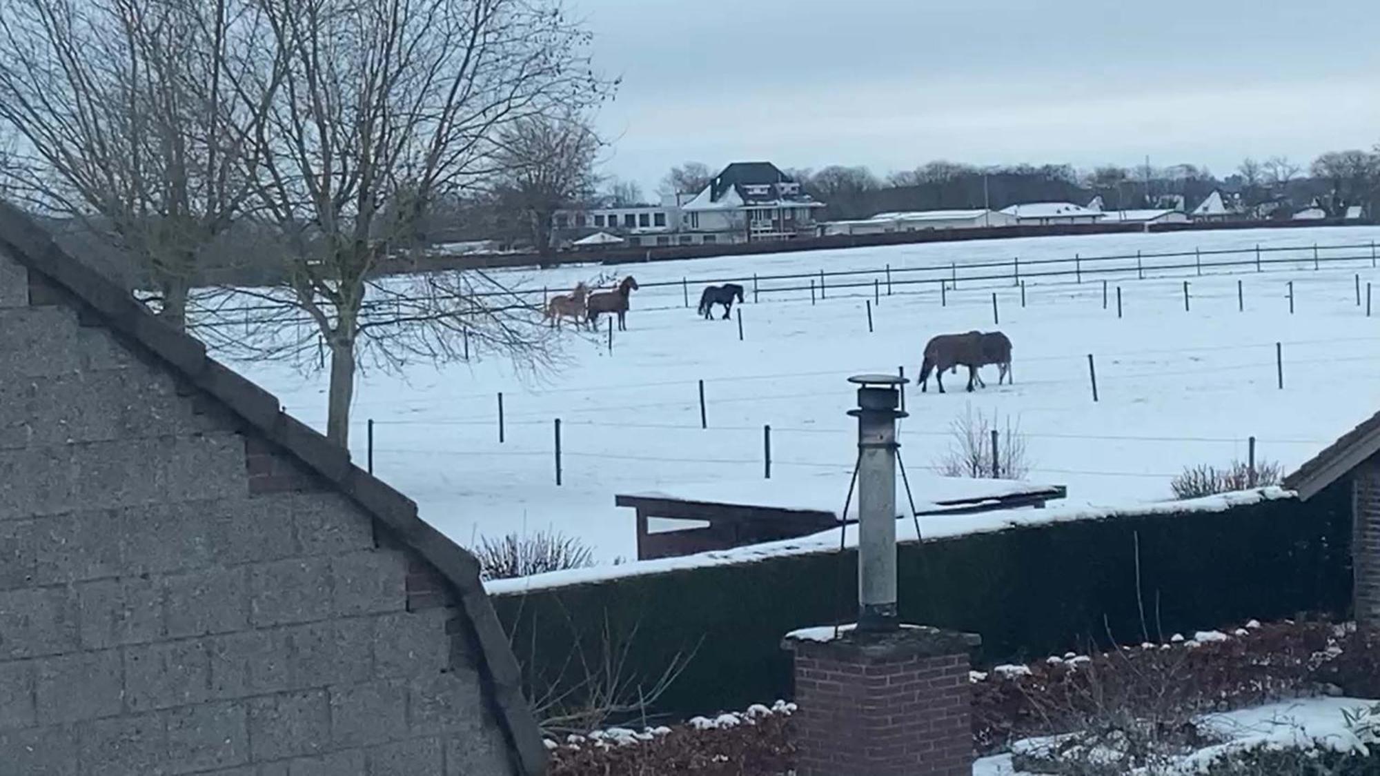 Vida Verde Valkenburg aan de Geul Esterno foto
